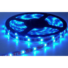 Blue 3000k Indoor DC12V RGB LED Flexible Strip SMD2835 5m Epistar LED Strip RoHS FCC